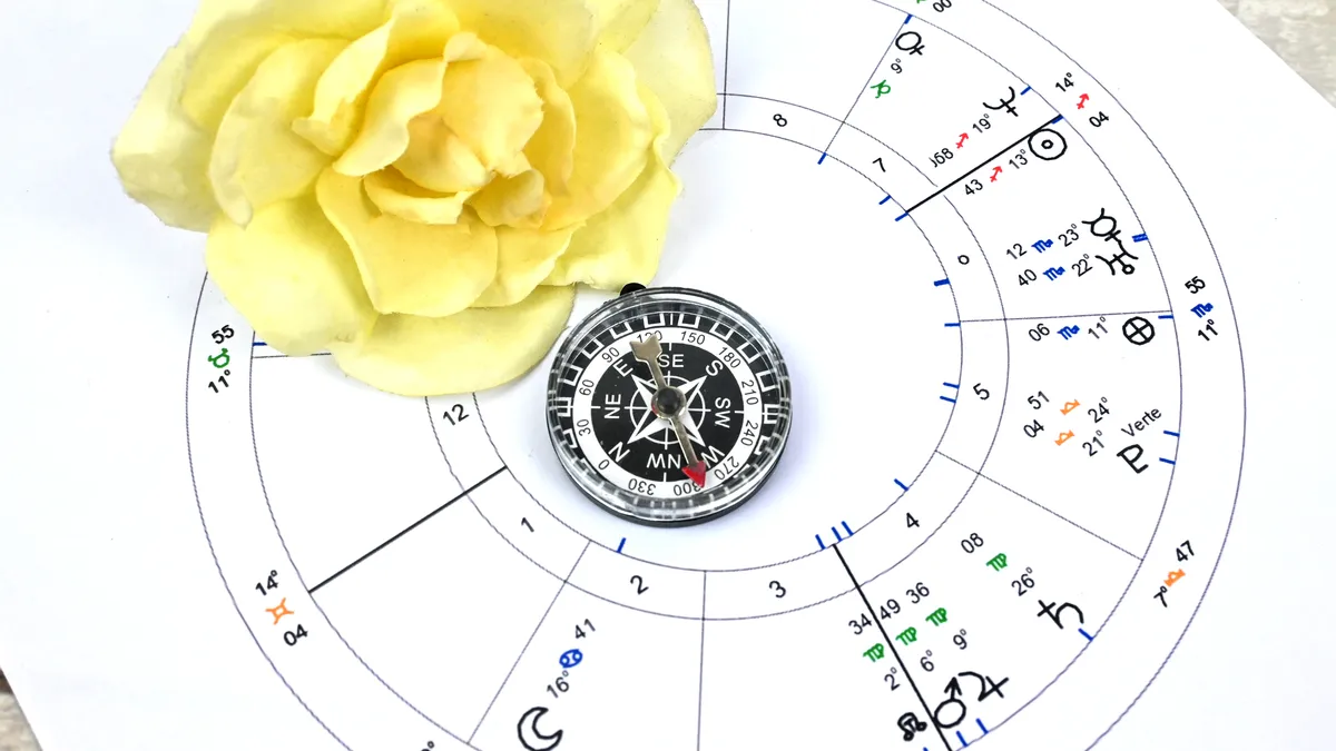 when will i get married: zodiac wheel astrology chart illustration